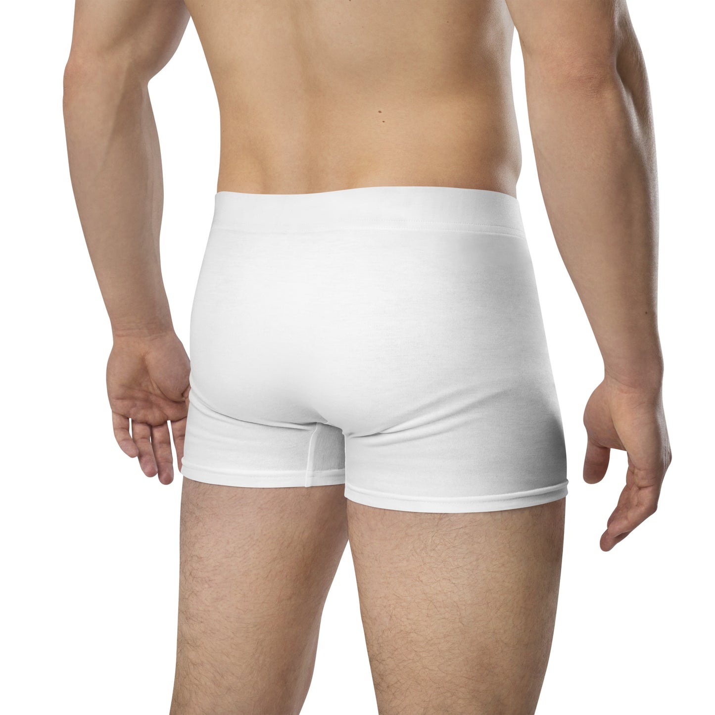 Boxer Briefs: Baguette Eiffel Tower