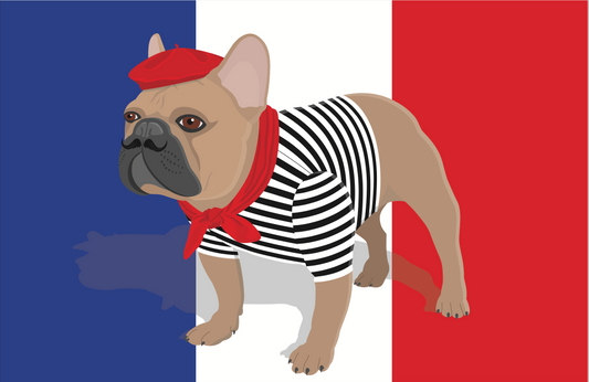 Pourquoi apprendre le français! (FRENCH 🇫🇷)